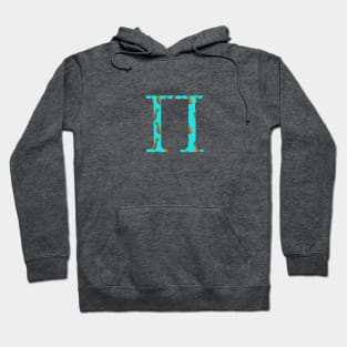 Pi PineappleLetter Hoodie